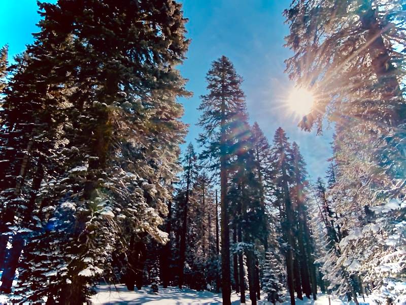 Narra Psychological Counselling For Individuals, Couples, And Children - Edmonton, AB